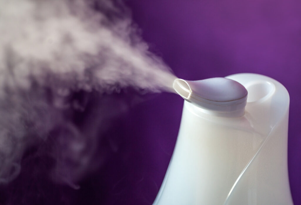 Prevent pink mold in humidifier: best tips for your health