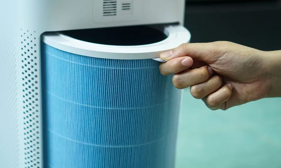How to Clean Dyson Air Purifier Filter: 5 Best Easy Steps