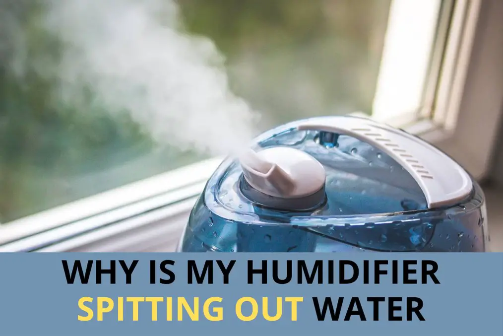 Why is my humidifier spitting out water -How to deal?