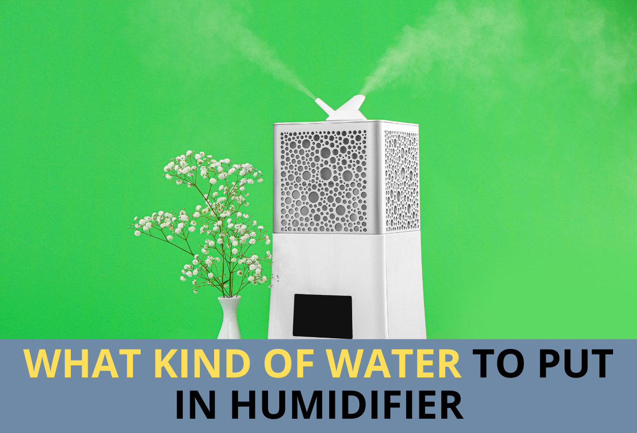 what kind of water to put in humidifier