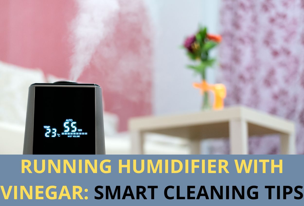 Running Humidifier With Vinegar: Helpful Tips In 4 Steps