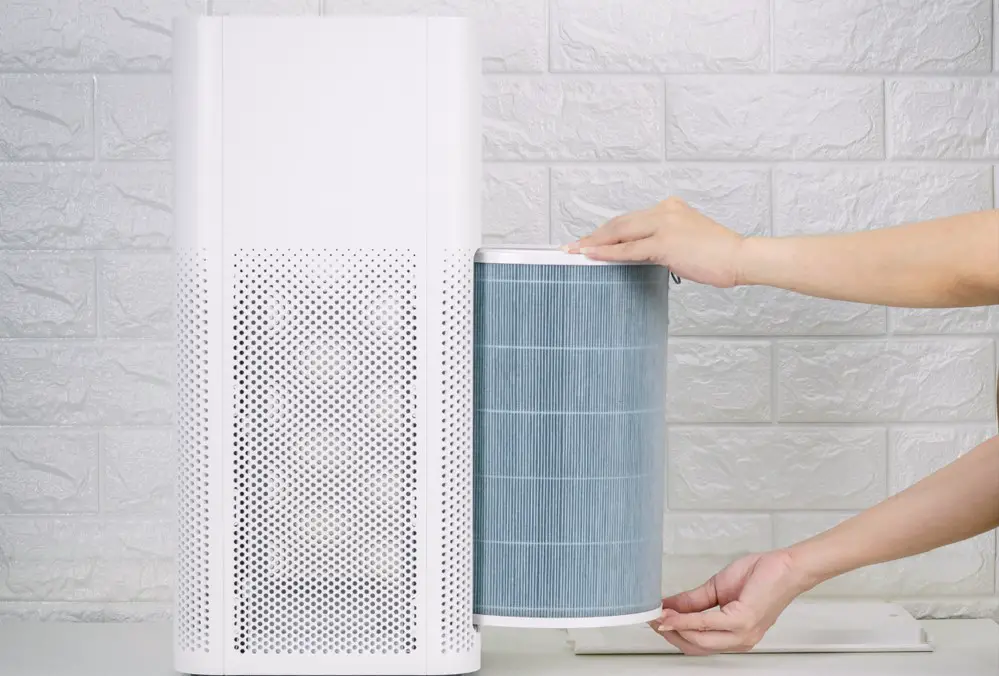 HEPA VS ionic air purifiers: Comparison, Pros, And Cons.