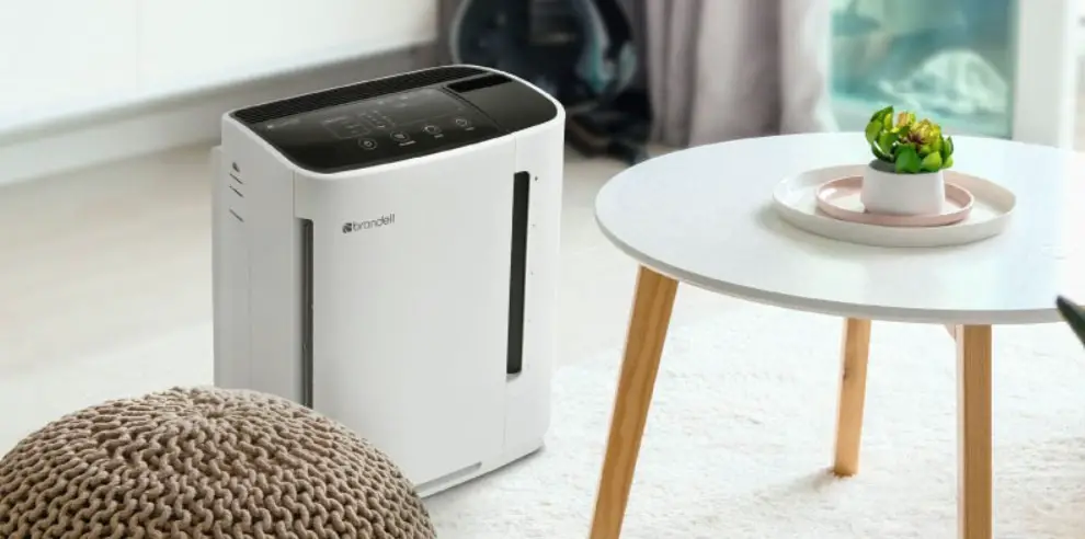 How long do air purifier filters last: Top Best Types