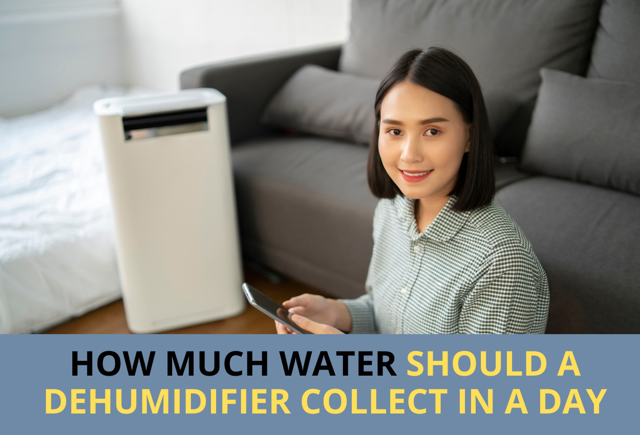 Dehumidifier collects water per day: Truly guide & 5+ tips