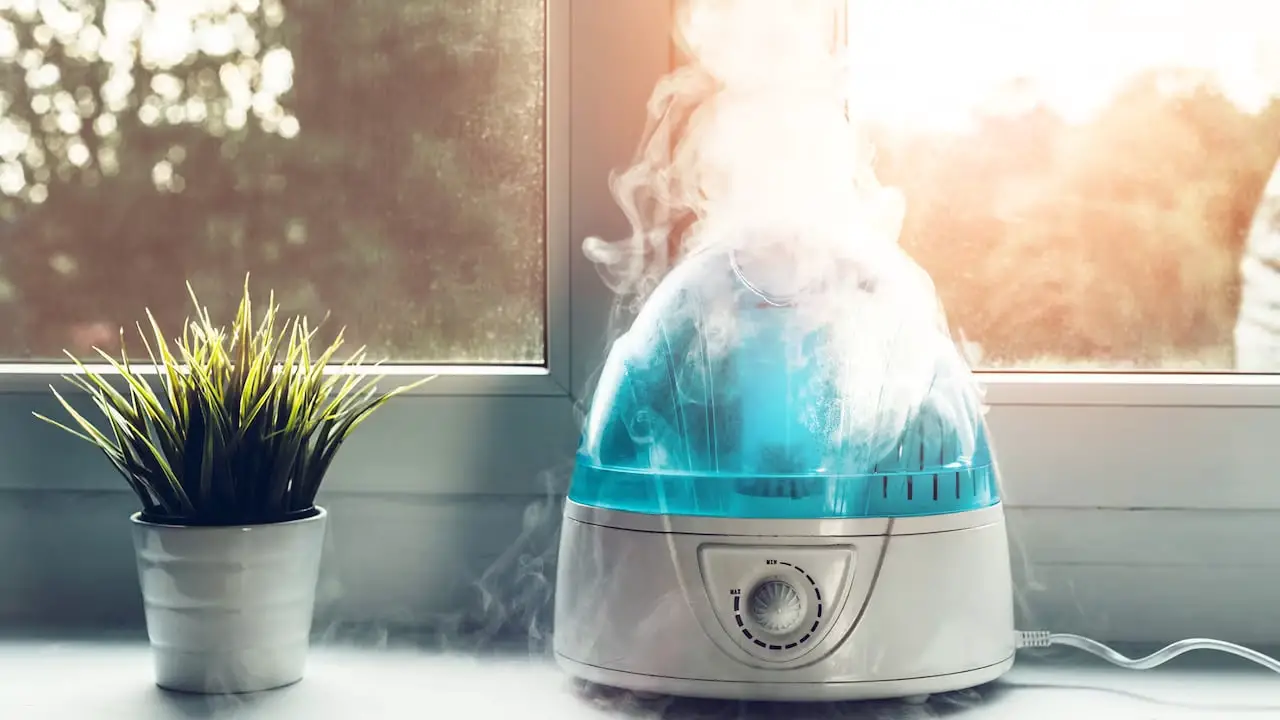 The Ultimate Guide to Choosing The Best humidifier for pets