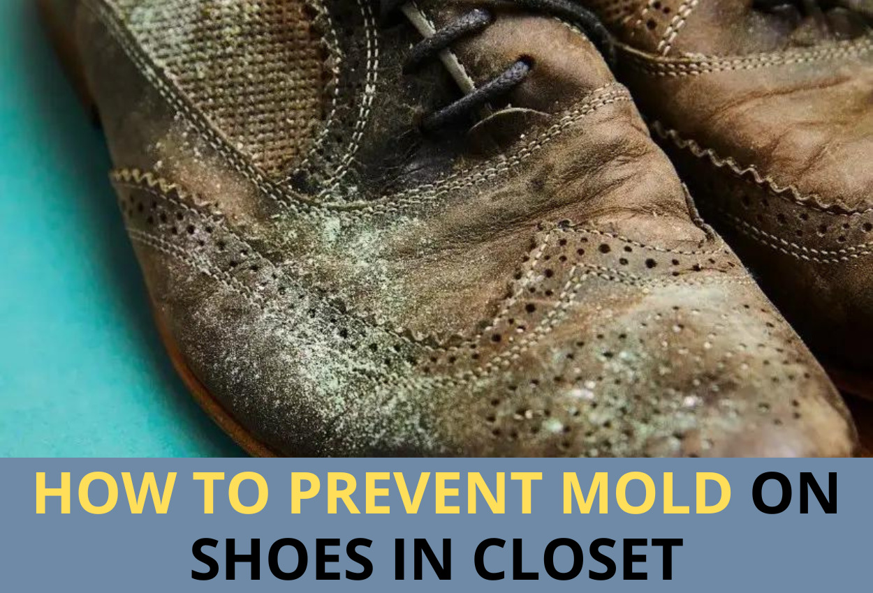How to prevent mold on shoes in closet