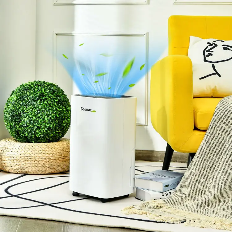 https://pure-homeair.com/disadvantages-of-a-dehumidifier-10-things/Disadvantages of a dehumidifier: 10 things you should know